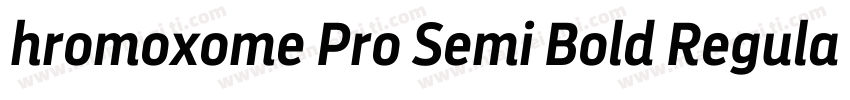 hromoxome Pro Semi Bold Regular字体转换